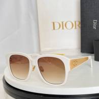 Dior Sunglasses AAA (1151)