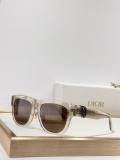 Dior Sunglasses AAA (1095)