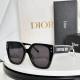 Dior Sunglasses AAA (536)