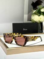 Dior Sunglasses AAA (866)
