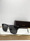 Tom Ford Sunglasses AAA (1301)