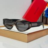 YSL Sunglasses AAA (627)