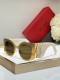 YSL Sunglasses AAA (307)