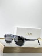 Dior Sunglasses AAA (677)