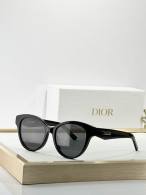 Dior Sunglasses AAA (686)