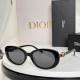Dior Sunglasses AAA (148)