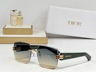 Dior Sunglasses AAA (364)