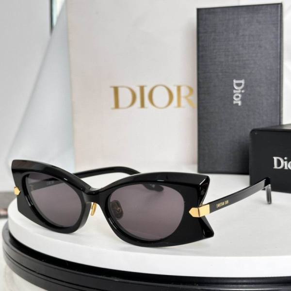 Dior Sunglasses AAA (491)