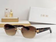 Dior Sunglasses AAA (1110)