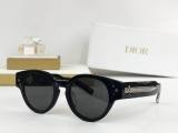 Dior Sunglasses AAA (999)
