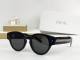 Dior Sunglasses AAA (999)