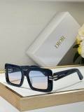 Dior Sunglasses AAA (737)