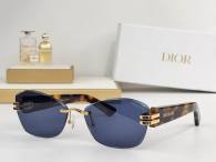 Dior Sunglasses AAA (1109)