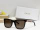 Dior Sunglasses AAA (468)
