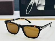 Tom Ford Sunglasses AAA (1210)