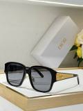 Dior Sunglasses AAA (897)