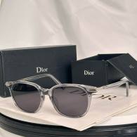 Dior Sunglasses AAA (875)