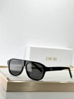 Dior Sunglasses AAA (681)