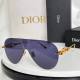 Dior Sunglasses AAA (270)