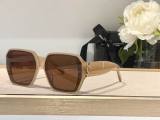 YSL Sunglasses AAA (515)