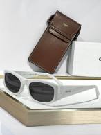 YSL Sunglasses AAA (60)