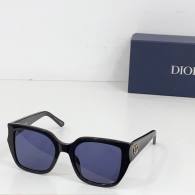 Dior Sunglasses AAA (100)