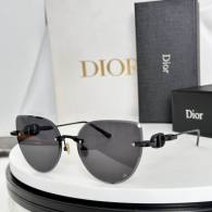 Dior Sunglasses AAA (500)