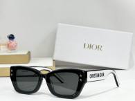 Dior Sunglasses AAA (434)