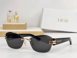 Dior Sunglasses AAA (1107)