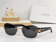 Dior Sunglasses AAA (1107)