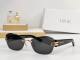 Dior Sunglasses AAA (1107)