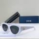 Dior Sunglasses AAA (339)