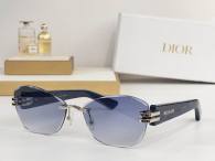 Dior Sunglasses AAA (1111)