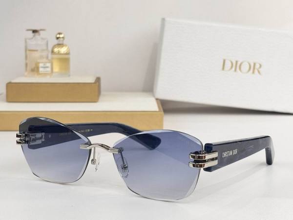 Dior Sunglasses AAA (1111)