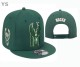 NBA Milwaukee Bucks Snapback Hat (4)