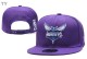 NBA Charlotte Hornets Snapback Hat (4)