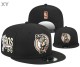 NBA Boston Celtics Snapback Hat (17)