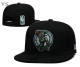 NBA Boston Celtics Snapback Hat (16)