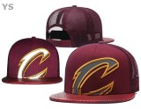 NBA Cleveland Cavaliers Snapback Hat (9)