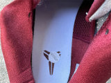 Authentic Nike Kobe 5 Protro Team Red/Silver