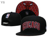 NBA Chicago Bulls Snapback Hat (68)
