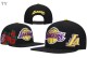 NBA Los Angeles Lakers Snapback Hat (10)