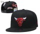 NBA Chicago Bulls Snapback Hat (31)