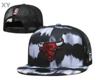 NBA Chicago Bulls Snapback Hat (19)