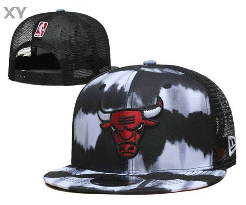NBA Chicago Bulls Snapback Hat (19)