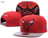 NBA Chicago Bulls Snapback Hat (47)