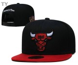NBA Chicago Bulls Snapback Hat (45)
