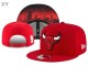 NBA Chicago Bulls Snapback Hat (23)