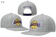 NBA Los Angeles Lakers Snapback Hat (18)