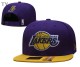 NBA Los Angeles Lakers Snapback Hat (9)